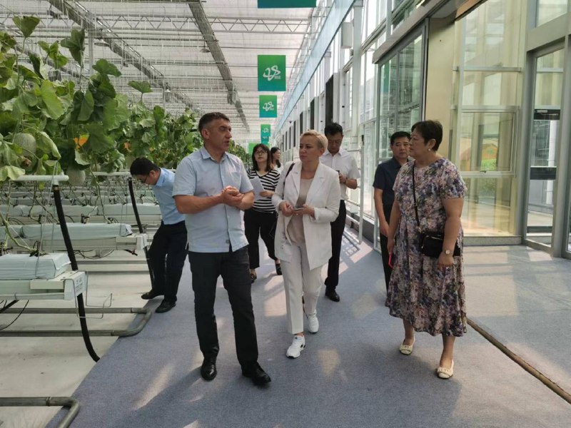 Представители КНР намерены создать в Ушачском районе презентационную площадку для своей продукции