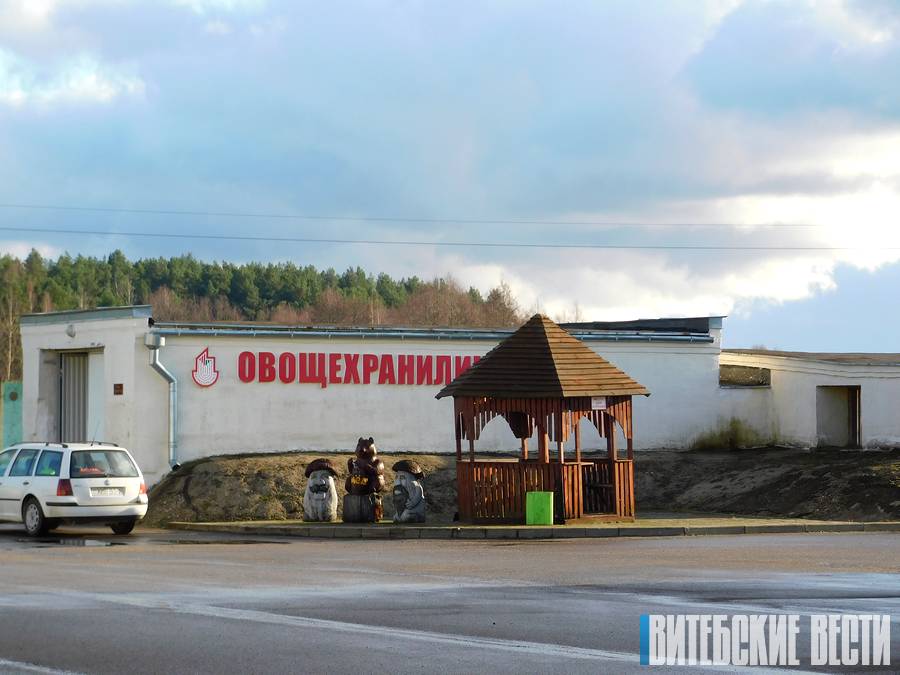 Гибкие цены, надежное качество. Почему Поставское райпо - одно из лучших в Беларуси?