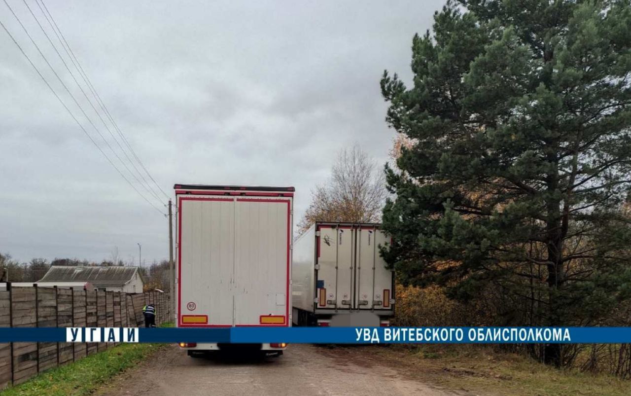 В Браславском районе фура сбила пешехода