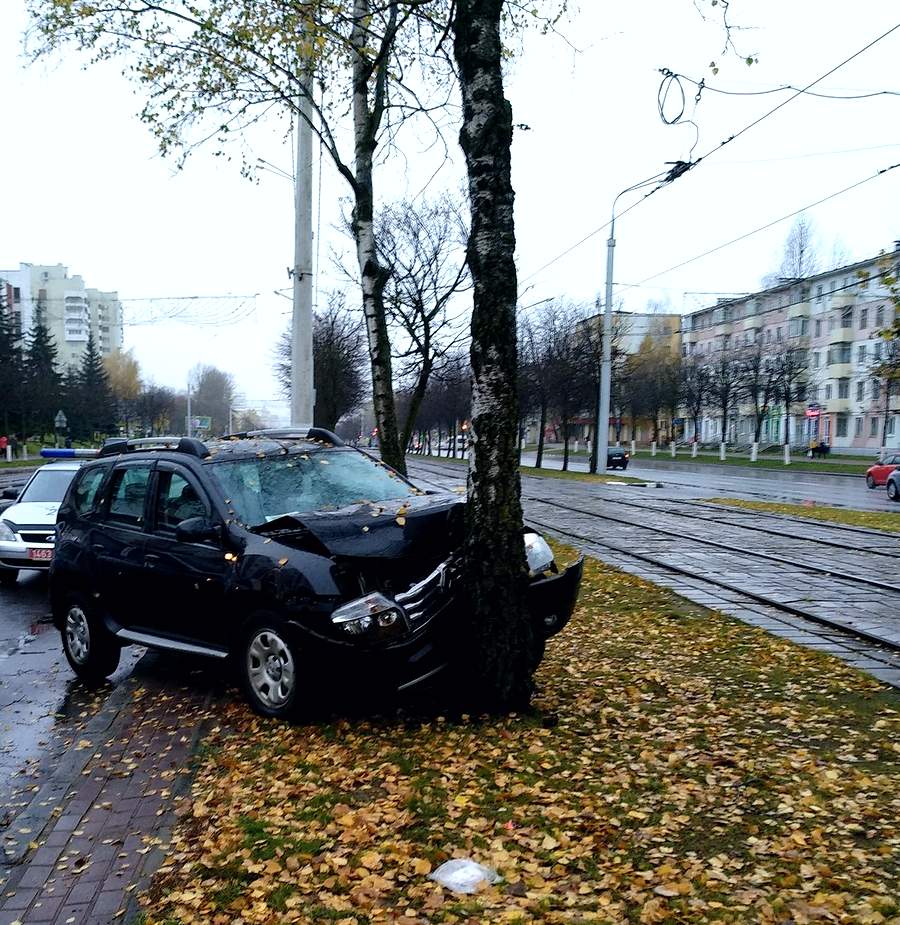 В центре Витебска женщина-водитель въехала в дерево