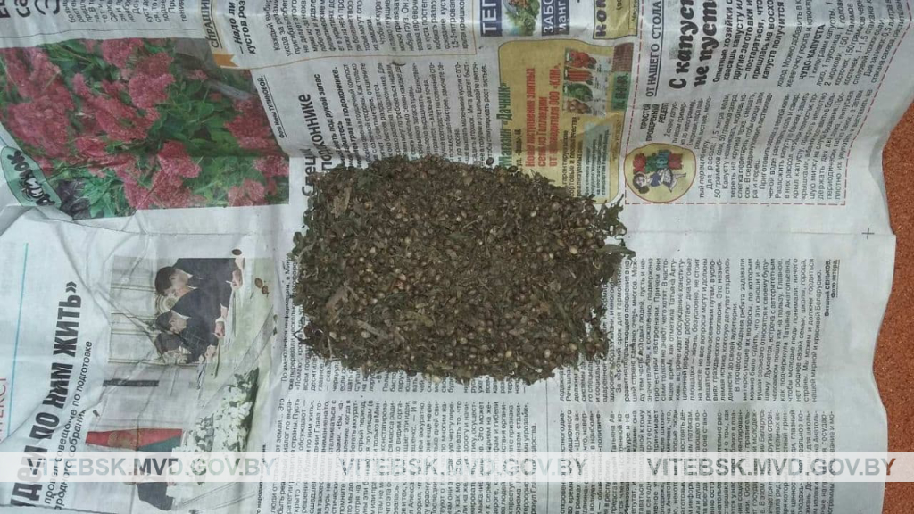 37-летний житель Витебска задержан по подозрению в хранении марихуаны