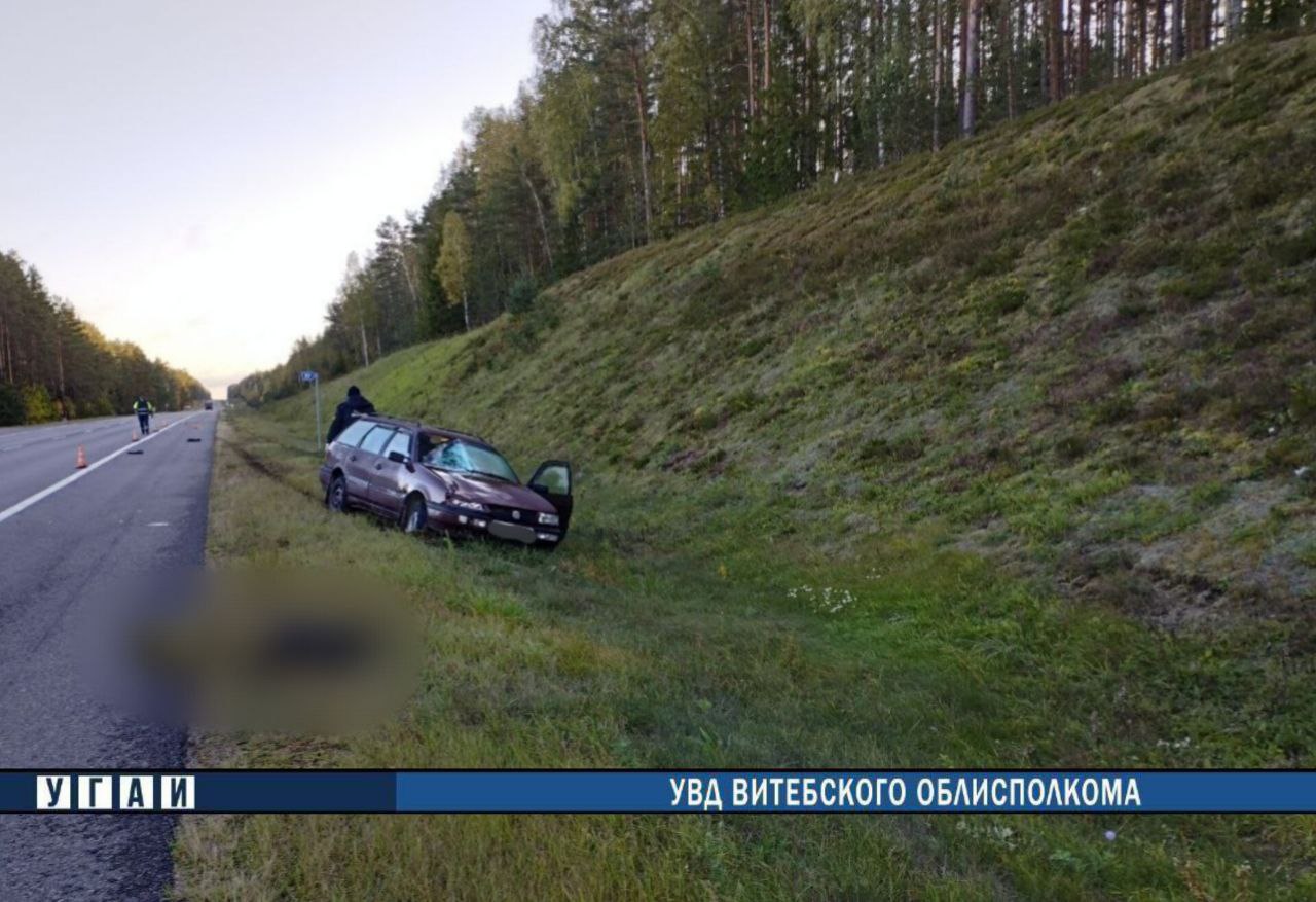 В Докшицком районе в ДТП погиб пешеход