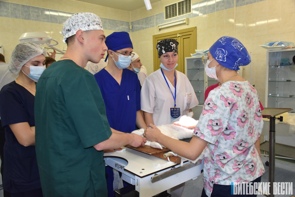Витебские студенты стали победителями республиканской олимпиады по хирургии