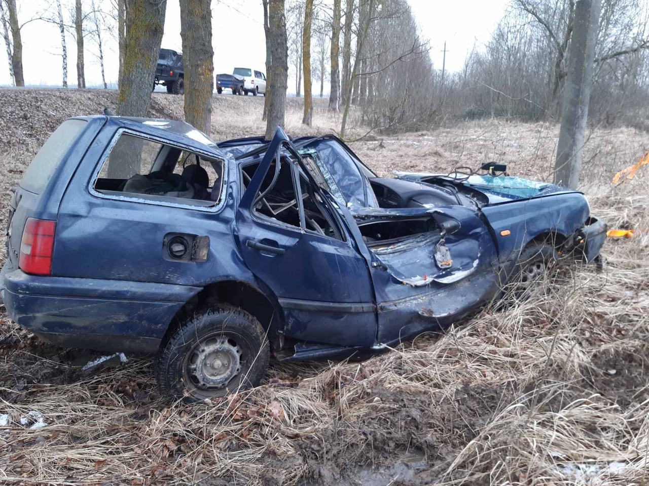 В Чашникском районе иномарка врезалась в придорожное дерево