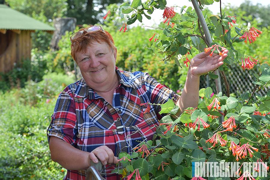 Дачница из Витебского района превратила участок в 40 соток в миниатюрный ботанический сад