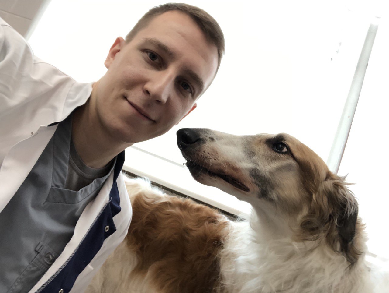 Ветеринар Артем Миронович: «Самые непредсказуемые животные в моей практике – кошки»
