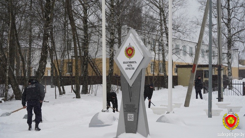 Микроскопы сменили на лопаты. Как коллектив ГКСЭ Витебской области наводит порядок после циклонов?