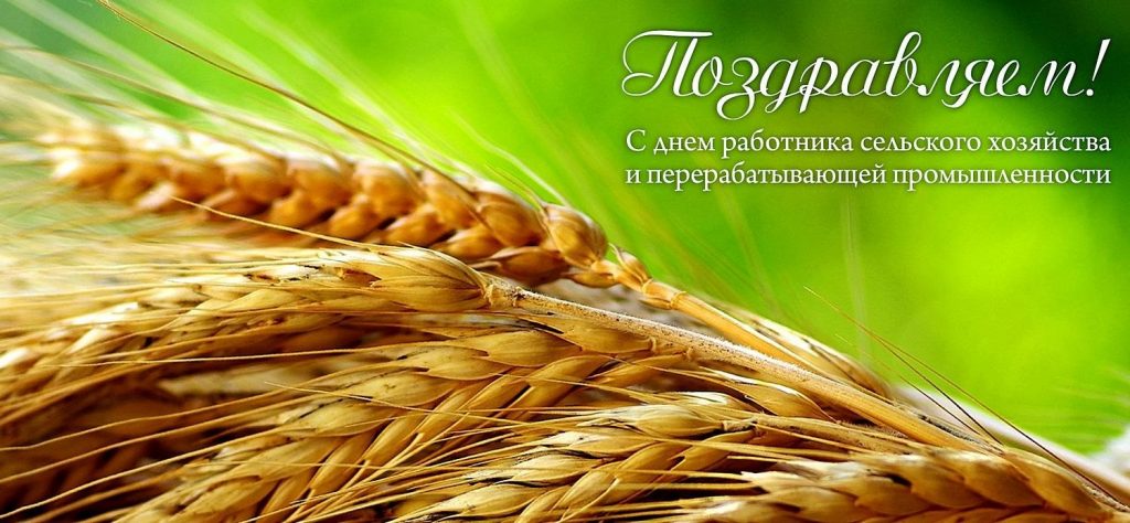 Поздравление руководства области с Днем работников сельского хозяйства и перерабатывающей промышленности АПК