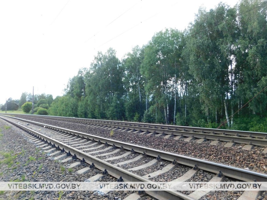 На железнодорожном перегоне в Оршанском районе погиб мужчина
