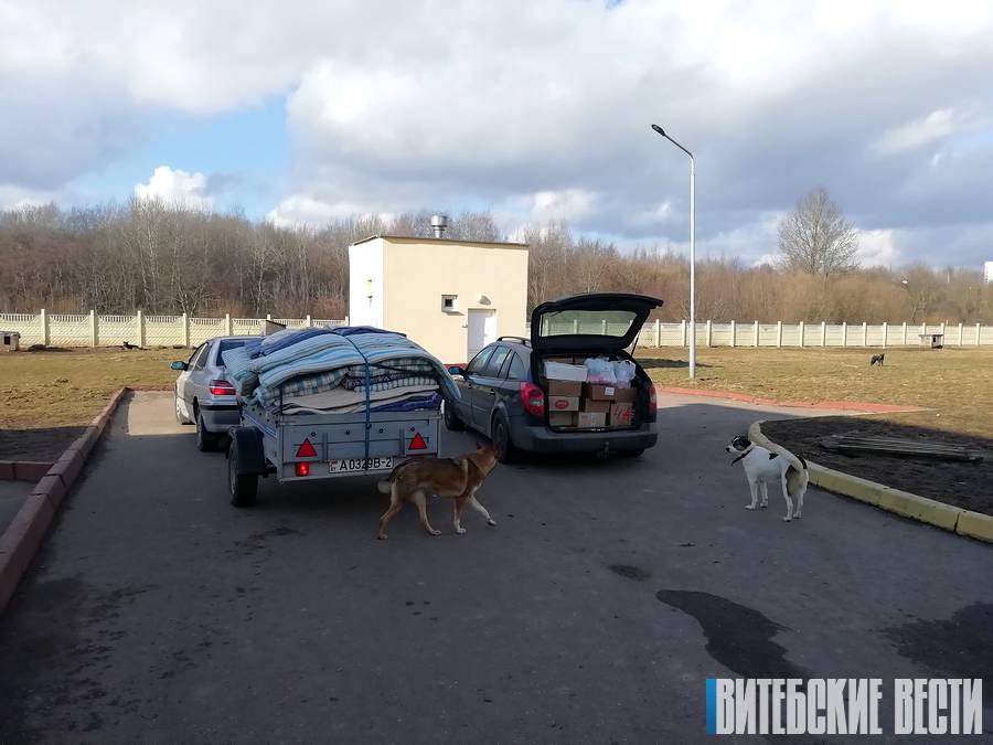 приют для животных в Витебске