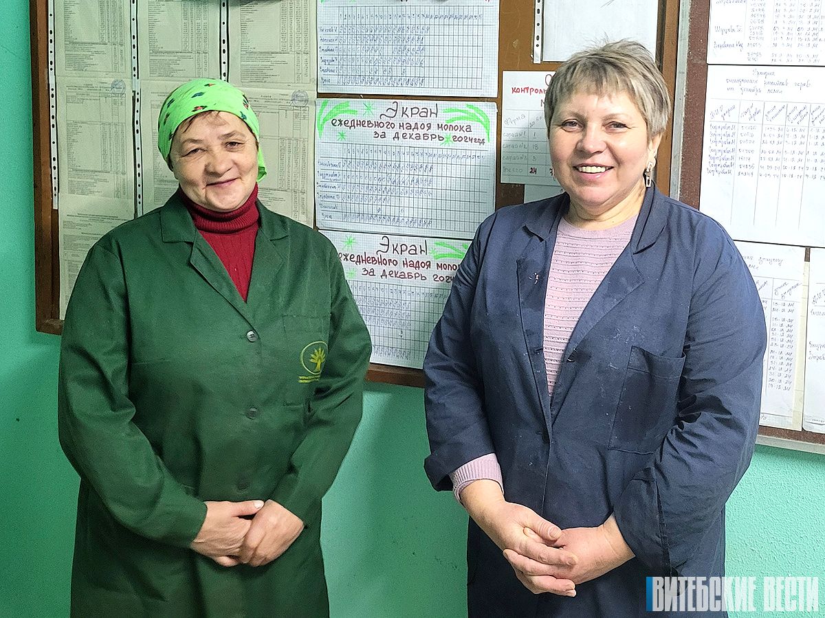 Семитысячный рубеж по надою молока от коровы преодолели в начале этого года в СХФ «Надежино» УП «Толочинский Элеватор-Агро»