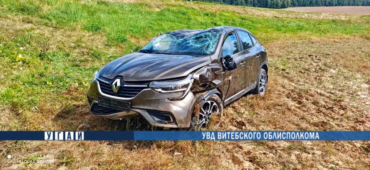 В Толочинском районе иномарка съехала в кювет и перевернулась