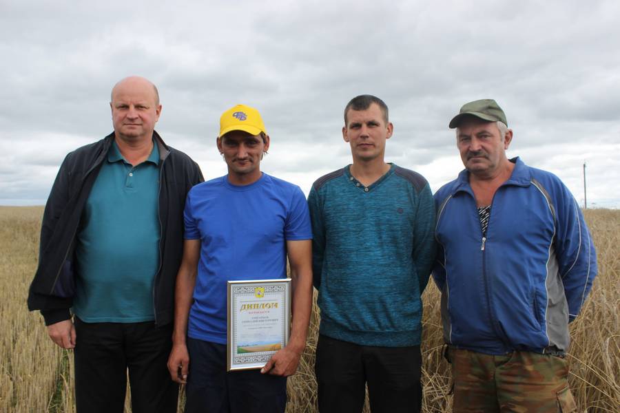 Хлебаробы Верхнядзвіншчыны першымі ў вобласці скончылі жніво