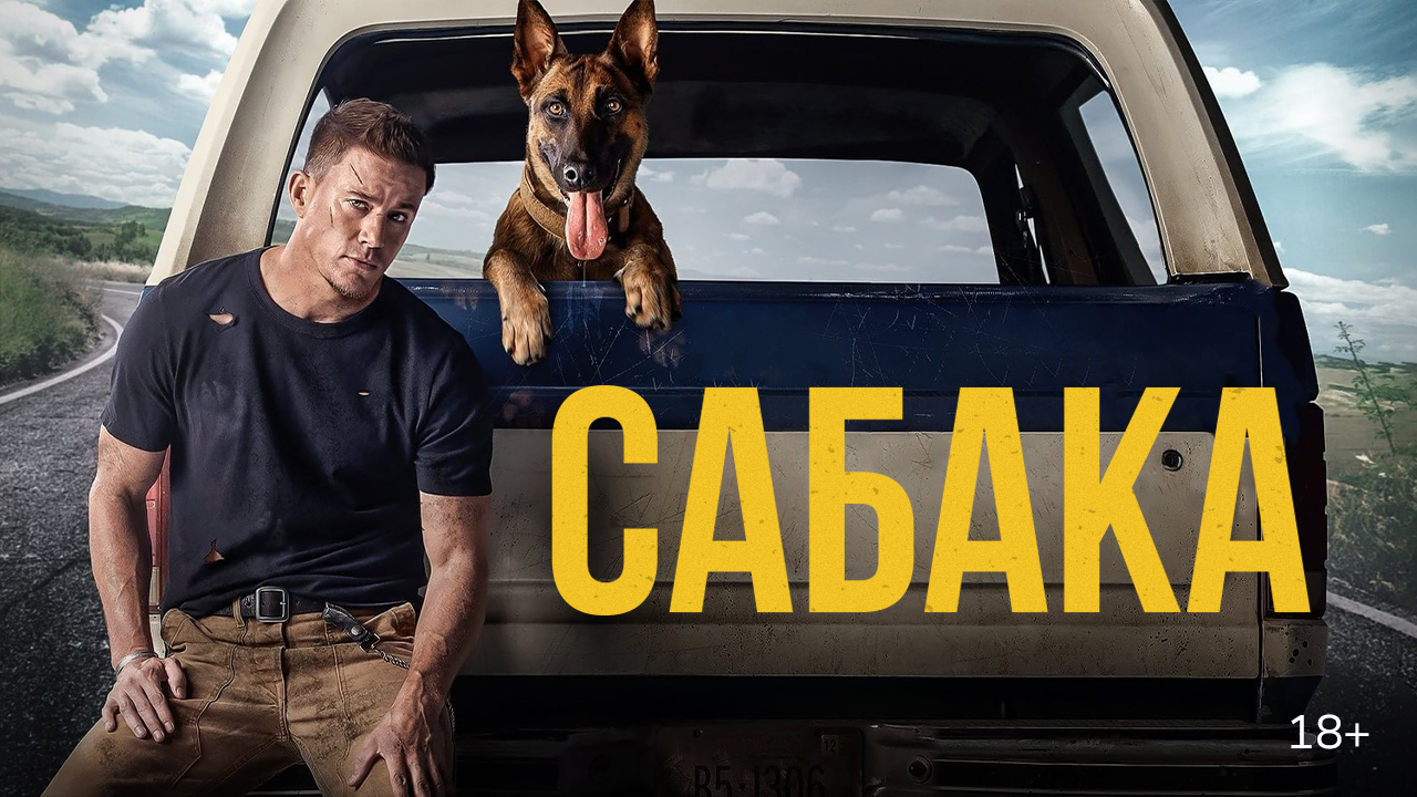 Кіно па-беларуску: анлайн-кінатэатр VOKA ад А1 выпусціў пяць знакамітых стужак у новай агучцы