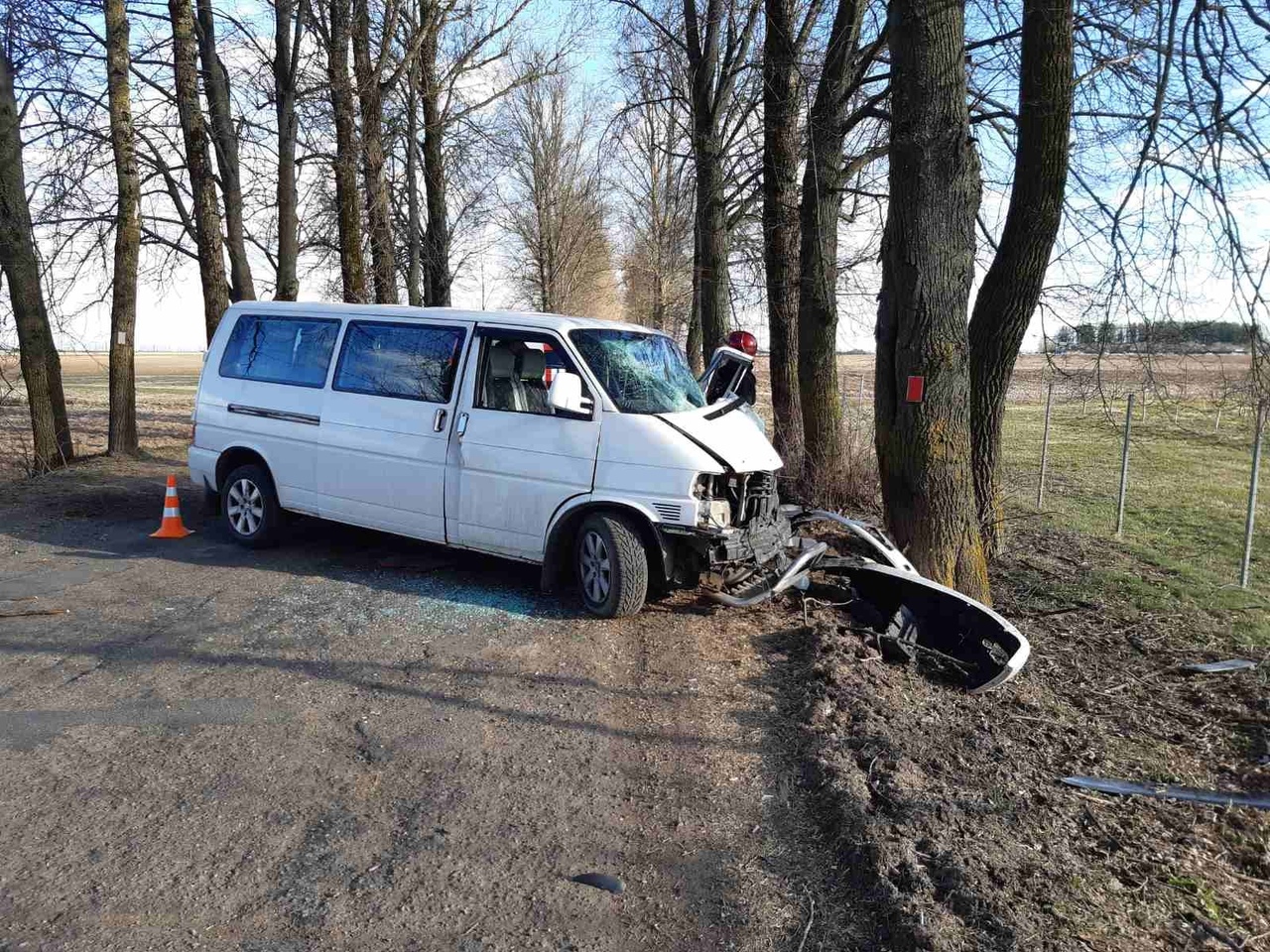 В Витебском районе микроавтобус врезался в дерево