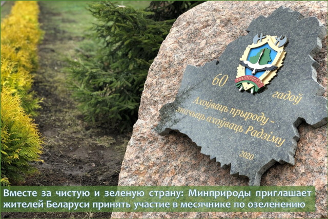 В Витебской области планируется высадить свыше 15 тысяч деревьев и кустарников во время республиканского месячника по озеленению 