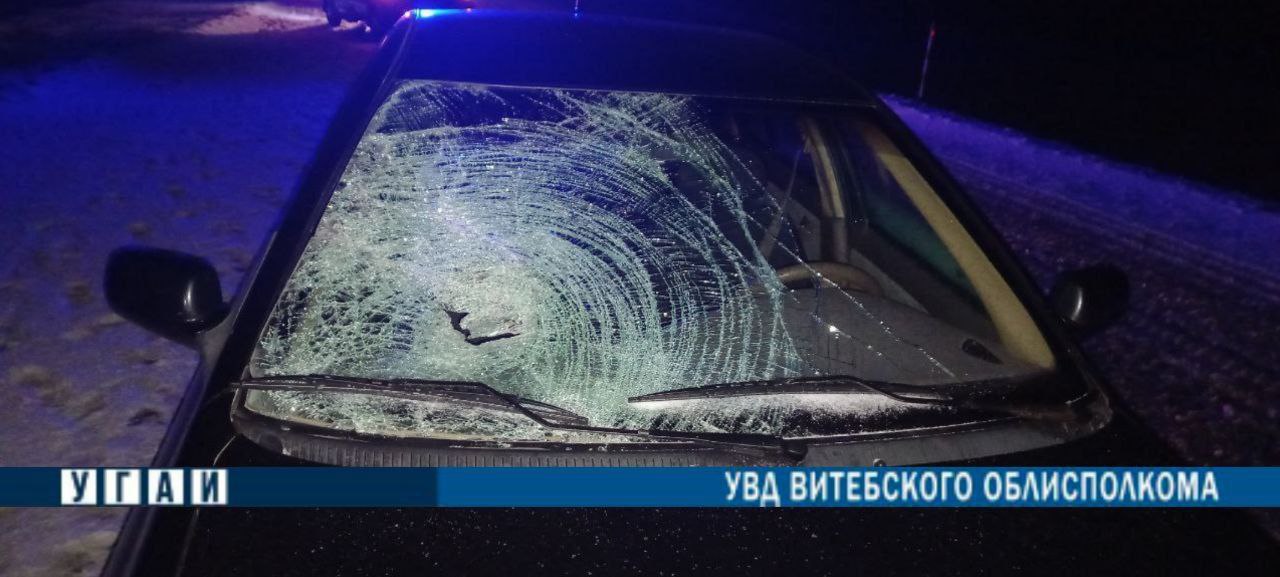 В Толочинском районе пешеход без фликера попал под колеса автомобиля