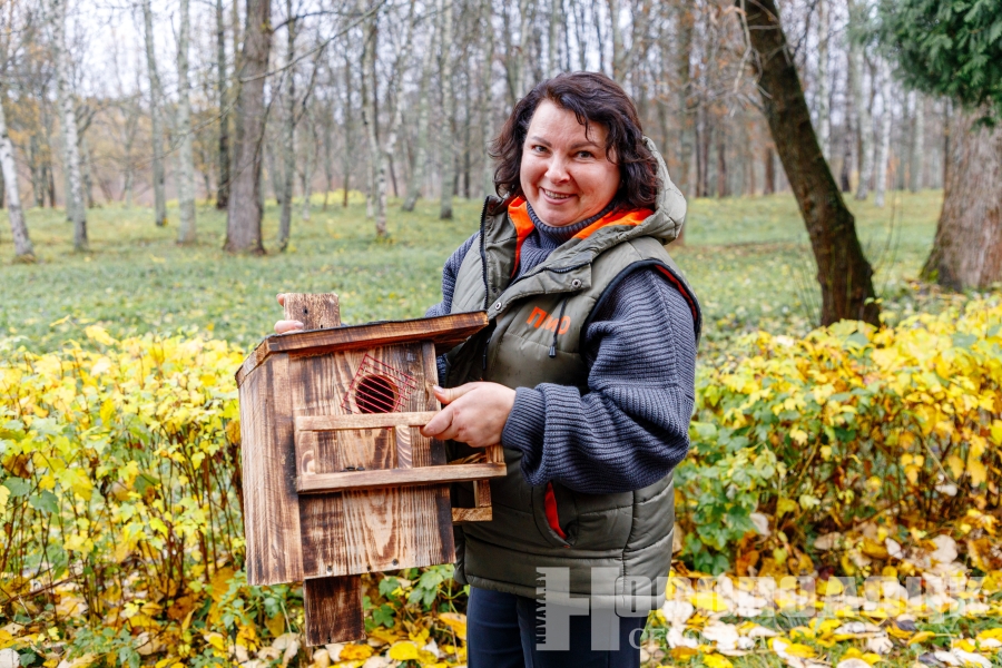 В парк культуры и отдыха Новополоцка заселили несколько семей белок