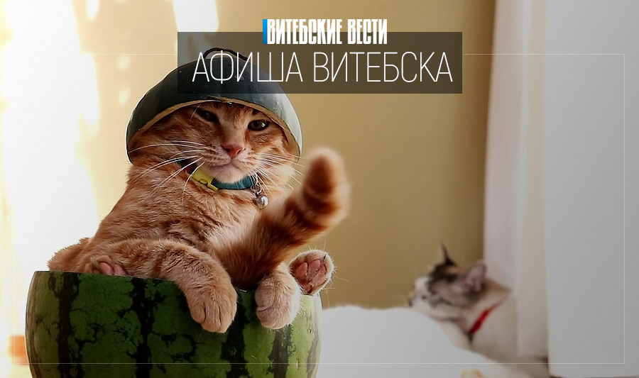Сходить на арбузную party и познакомиться с куклой Лялей. Чем еще заняться на выходных в Витебске?
