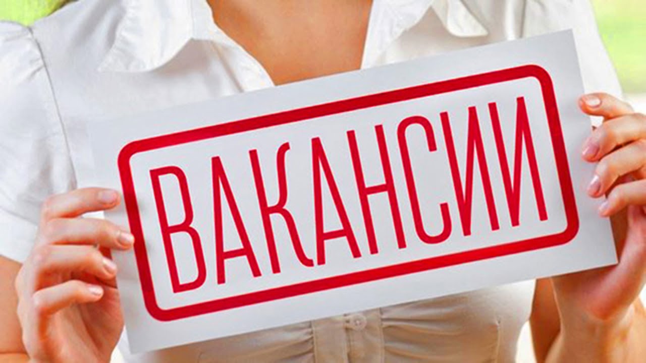 Какие профессии наиболее востребованы в Витебской области?