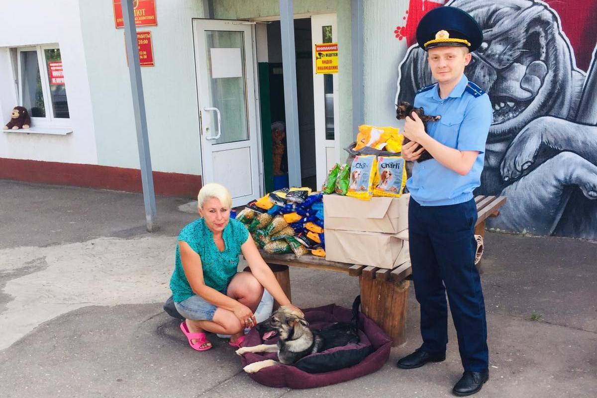 Прокуратура Витебска более трех лет помогает приюту для бездомных животных