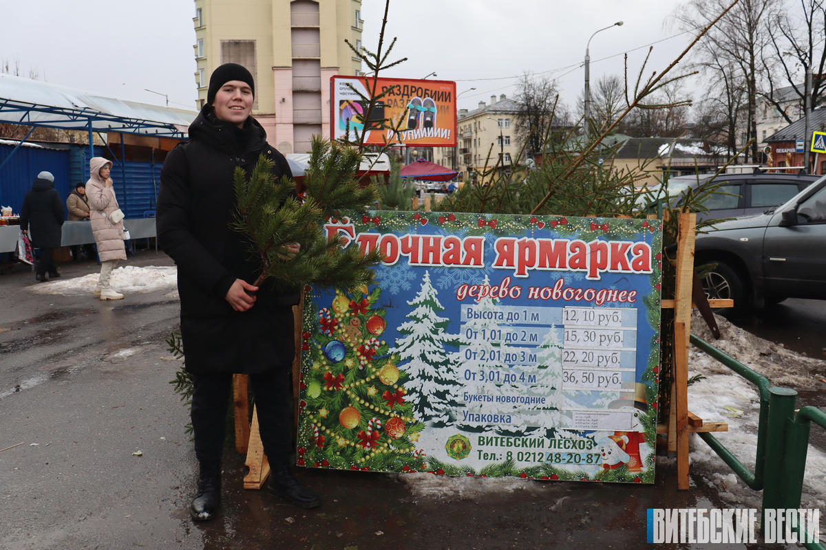 Фотофакт: В Витебске начали работу елочные базары