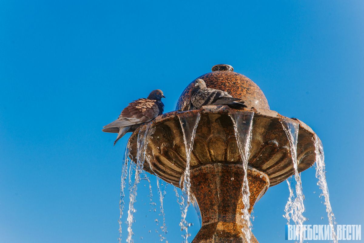 Погода в Витебске на 10 августа: ночью туман, днём до +26°C и без осадков