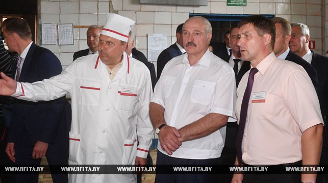 Лукашенко поручил к ноябрю 2020 года сделать Оршанский МКК одним из лучших предприятий отрасли