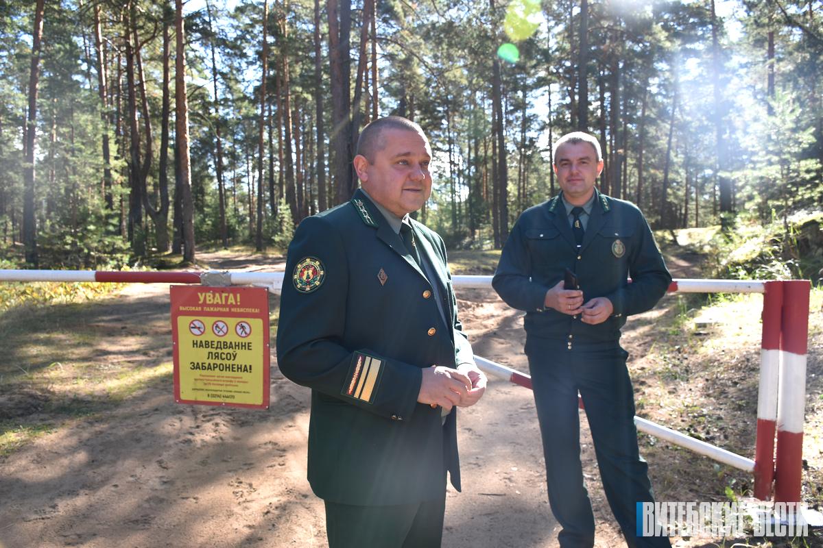 Пресс-тур в Полоцком лесхозе: почему в начале осени всё еще оставались закрытыми леса и как определить класс пожароопасности при помощи шишки 