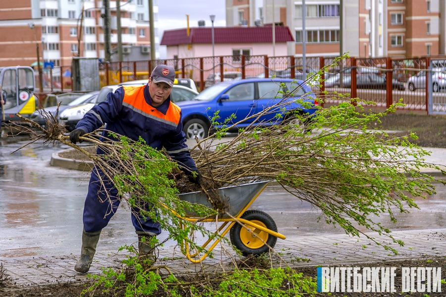 Республиканский субботник пройдет в Беларуси 12 апреля