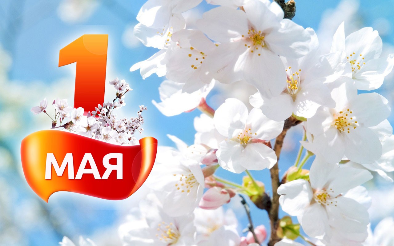 С Праздником труда! Руководство Витебской области поздравляет жителей региона