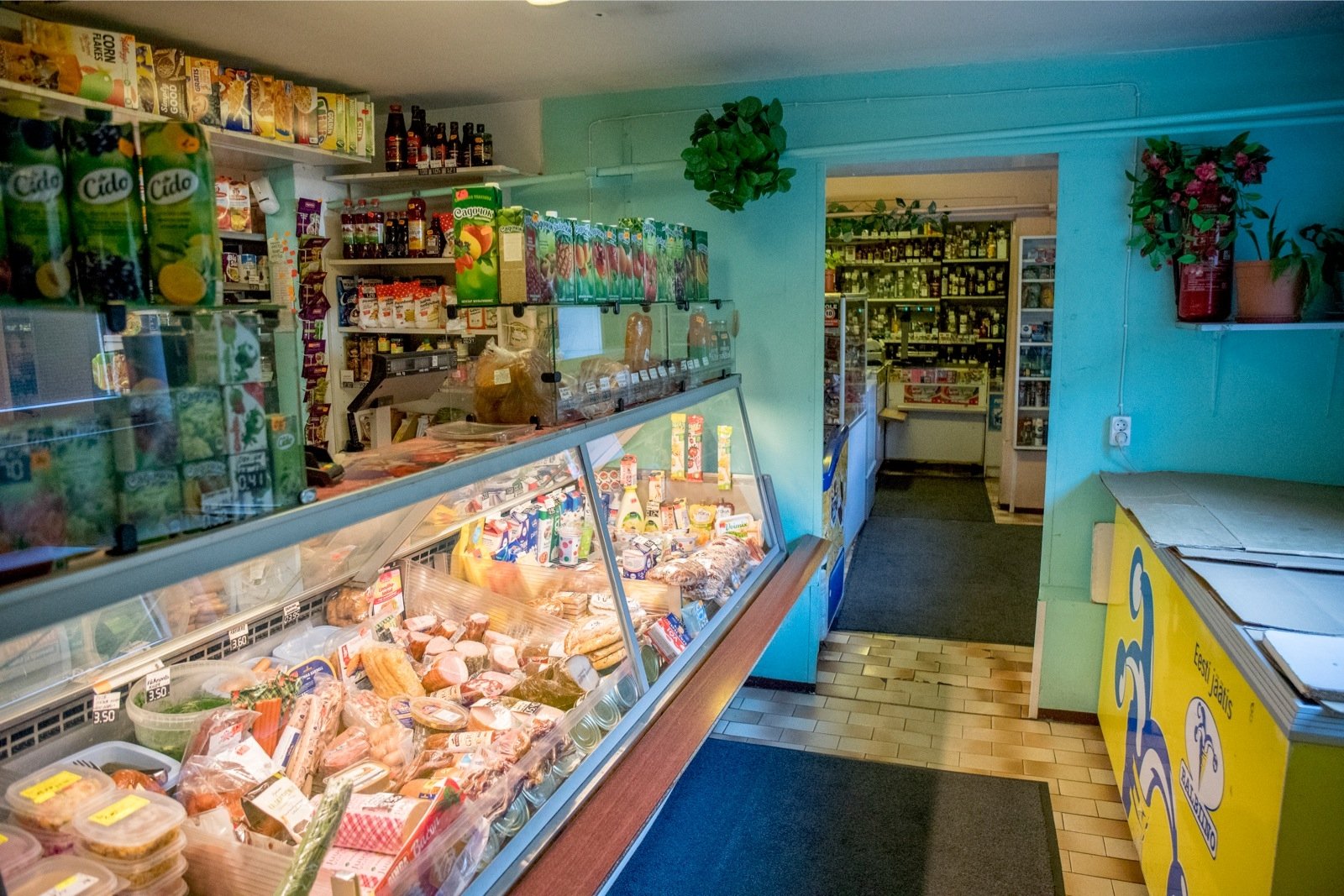 Просрочка и отсутствие продуктов первой необходимости. Какие еще недочеты выявил Госконтроль в работе сельских магазинов в Витебской области?
