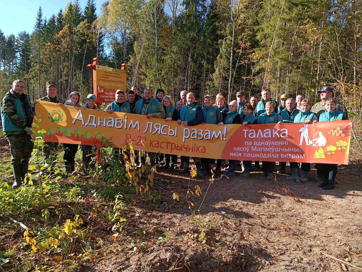 Фотофакт: Витебское ГПЛХО принимает участие в республиканской добровольной акции «Аднавім лясы разам»