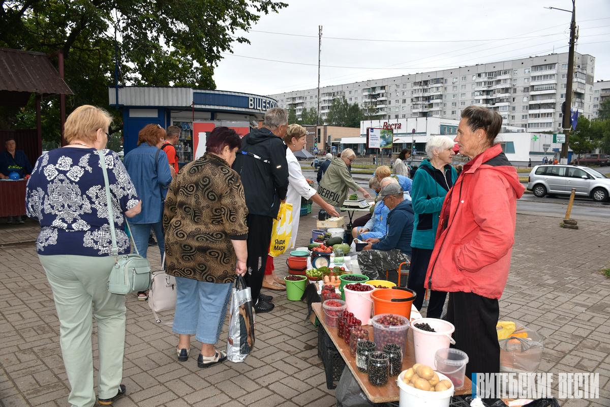 Как изжить несанкционированную торговлю возле Чкаловского рынка в Витебске? 