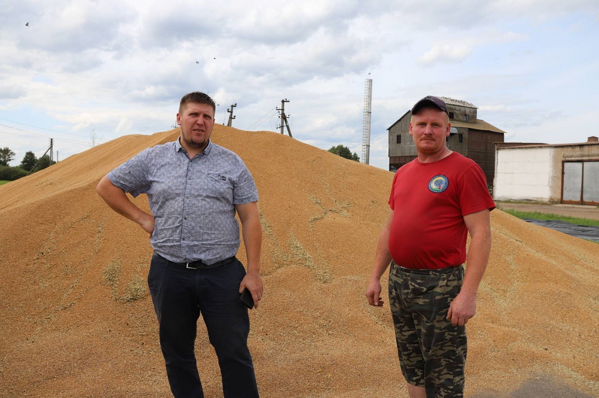 У ААТ «Прудзінкі» Верхнядзвінскага  раёна набірае тэмпы ўборачная  кампанія