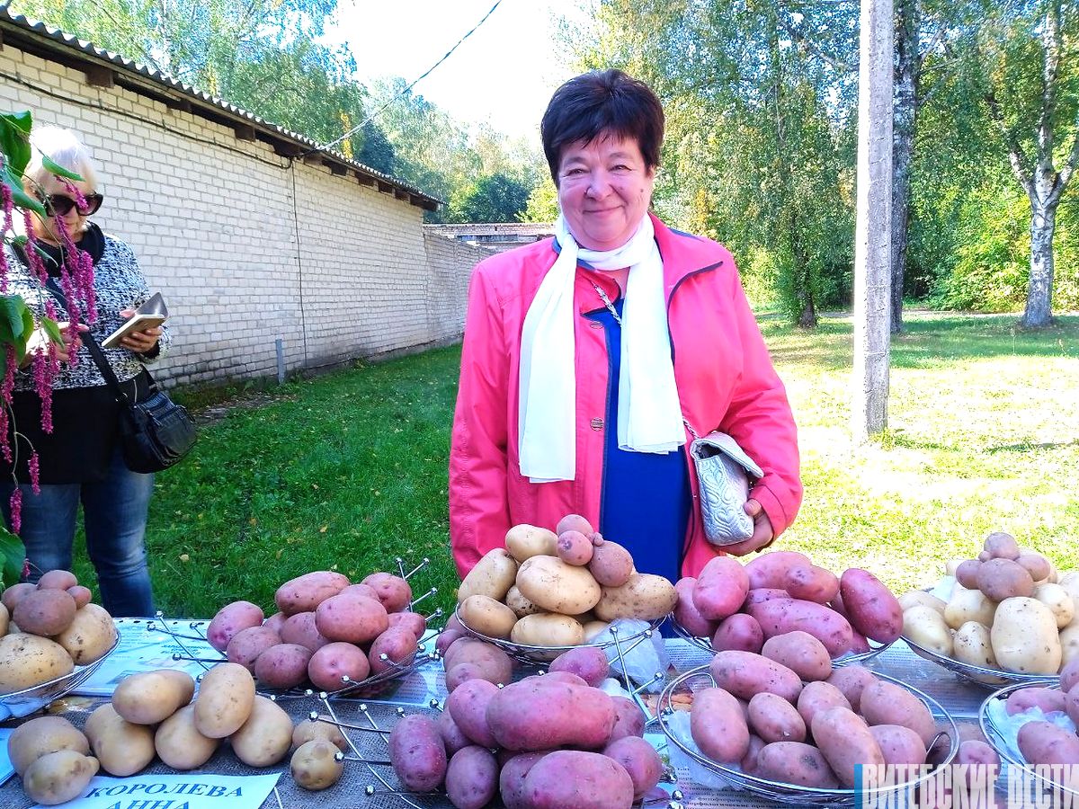 Фотофакт. Праздник урожая собрал в парке "Мазурино" в Витебске любителей активного отдыха и садоводства