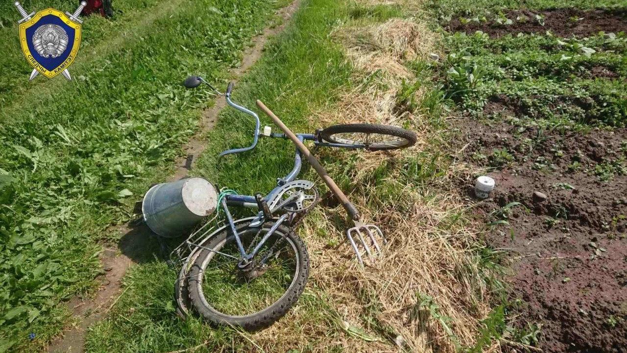 Удар молнии стал смертельным для дачника из Миорского района