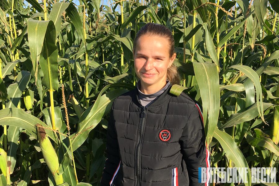 Жить – пожинать: ОАО «Правда-С» Дубровенского района с полными закромами