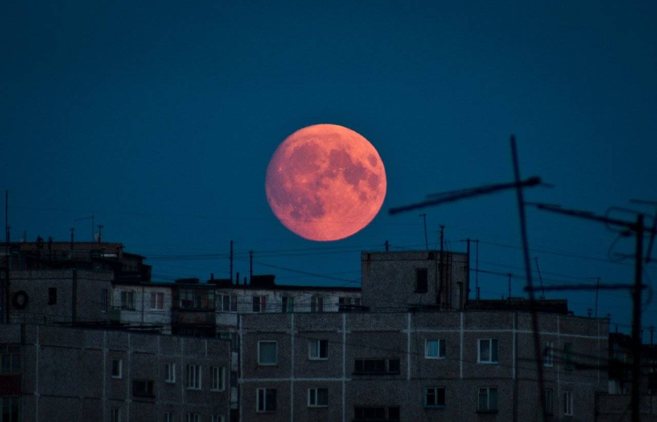 Лунное затмение и противостояние Марса. Сегодня жители Витебщины смогут наблюдать редкие астрономические явления