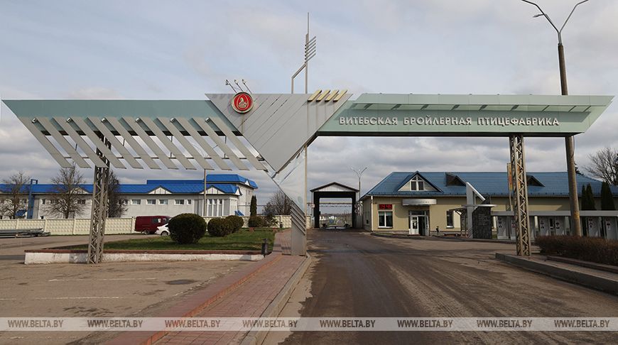 Как трудовые мигранты работают на предприятии в Витебской области