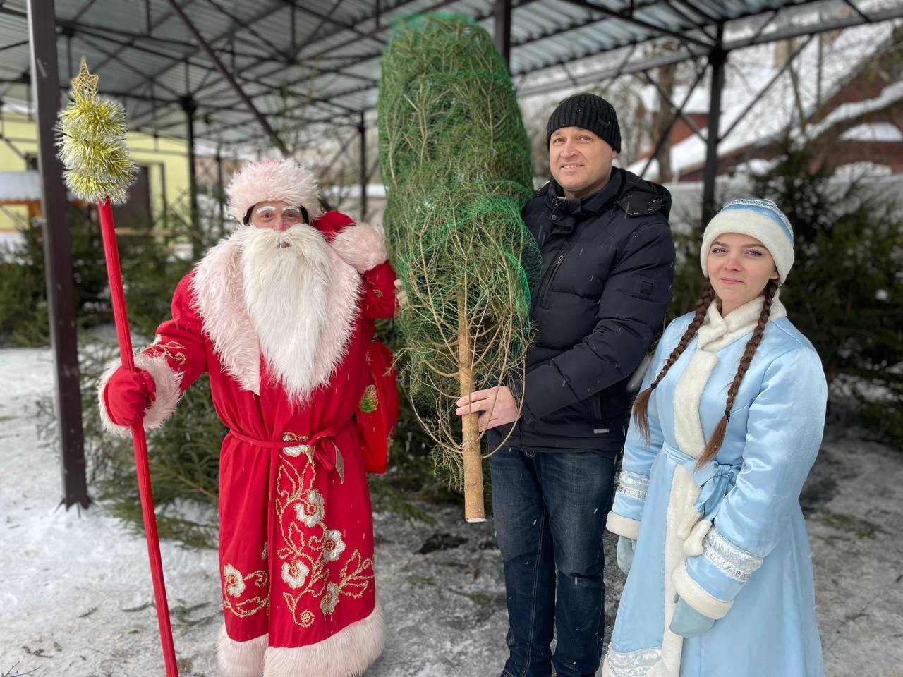Фотофакт: в Витебске стартовали ёлочные базары
