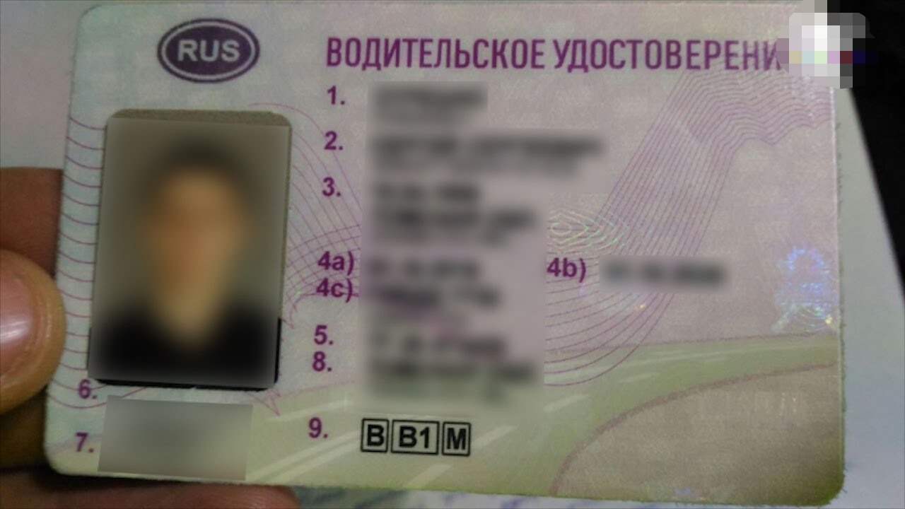 В Витебске задержали бесправника с липовым водительским удостоверением