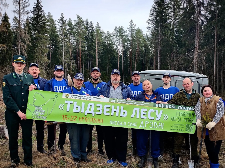 Более 1500 саженцев высадил трудовой десант Витебской областной организации ЛДПБ в рамках «Недели леса»