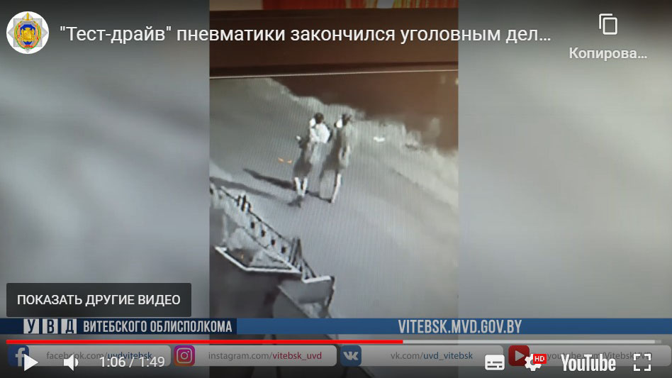 В Витебске двое приятелей стреляли по котам и машинам из пневматического пистолета