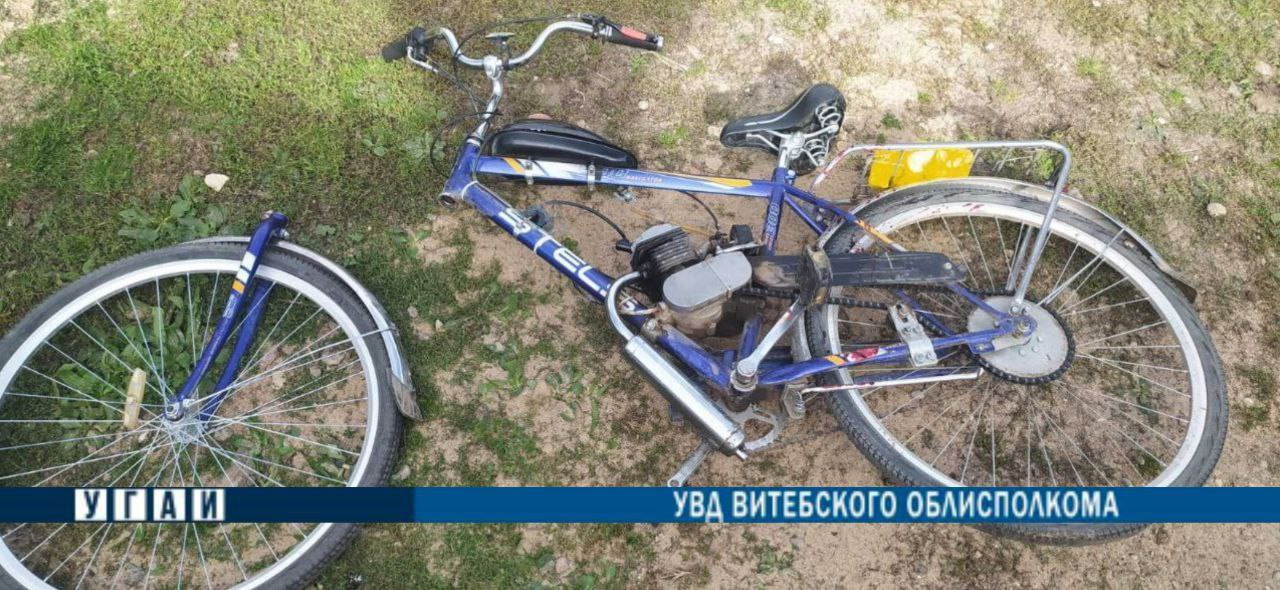 В Чашникском районе женщина на велосипеде пострадала от столкновения с диким животным