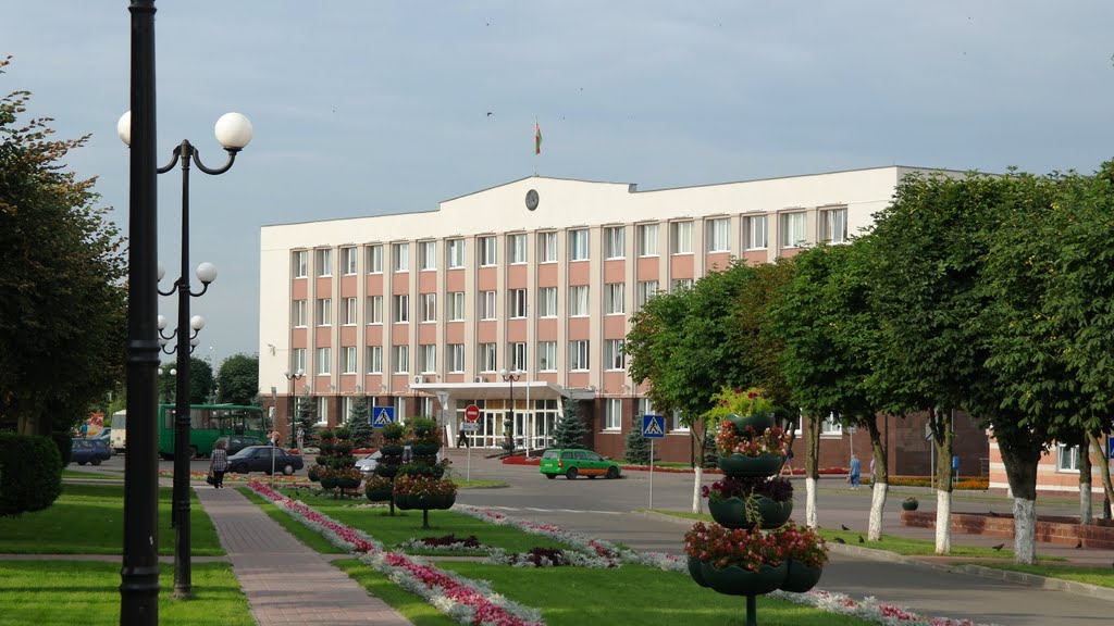 Госконтроль выявил ряд недостатков по наведению порядка в Оршанском районе и выполнению поручения Президента