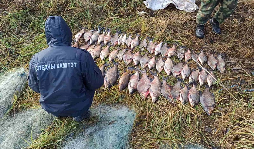 В Витебском районе за незаконную добычу рыбы задержаны двое мужчин