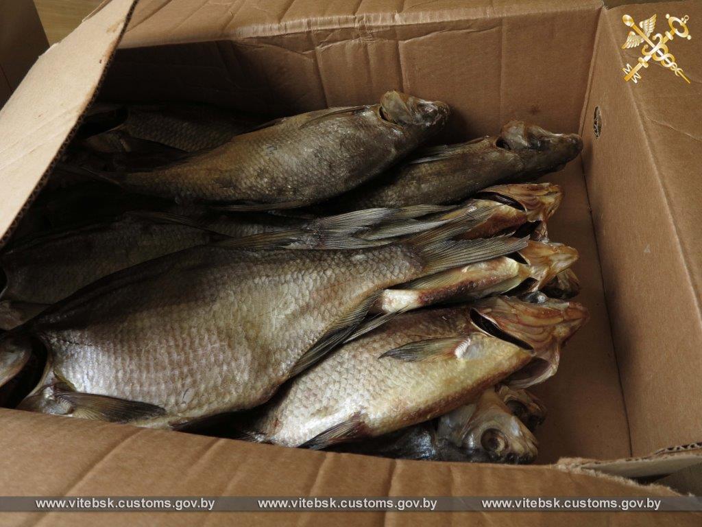 Витебские таможенники задержали партию рыбной продукции сомнительного качества