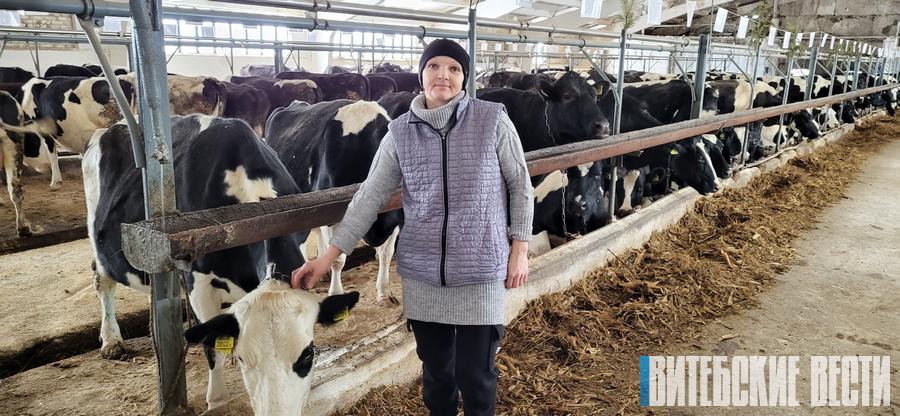 Как получить качественное молоко, рассказали в ОАО "Герой" Дубровенского района
