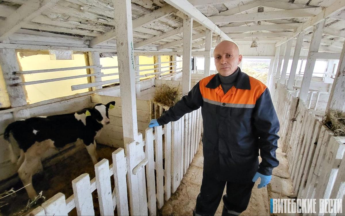 "Душа на месте, когда лично всё проверяю": Корреспондент «ВВ» провела один день с главным ветеринарным врачом